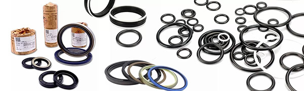 Purchase an Oil Seal Kit